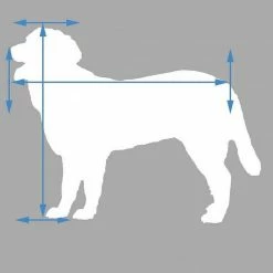 EUGAD Tierbett, Katzenhaus Katzenhöhle herausnehmbarer Matte Dunkelgrau, Hellgrau -EUGAD Verkäufe 0134d590 7c4e 5ea8 927e 5169a7a9e52f