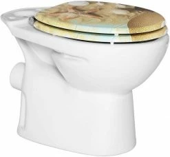 EUGAD WC-Sitz (1-St), Toilettensitz, WC Sitz mit Absenkautomatik, MDF, Holz, Softclose Scharnier Grüne Blätter, Holzfarbe, Lilie, Seestern, Seestern Am Strand, Seestern Sonnenuntergang, Stone, ‎Lila Blume und Stones -EUGAD Verkäufe 6187bd0a 1699 4541 a7d8 97c12b4919a7