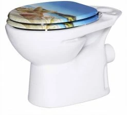 EUGAD WC-Sitz (1-St), Toilettensitz, WC Sitz mit Absenkautomatik, MDF, Holz, Softclose Scharnier Grüne Blätter, Holzfarbe, Lilie, Seestern, Seestern Am Strand, Seestern Sonnenuntergang, Stone, ‎Lila Blume und Stones -EUGAD Verkäufe 6c059baa 7f52 433c 981d e42e5c11a8fc
