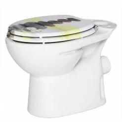 EUGAD WC-Sitz (1-St), Toilettensitz, WC Sitz mit Absenkautomatik, MDF, Holz, Softclose Scharnier Grüne Blätter, Holzfarbe, Lilie, Seestern, Seestern Am Strand, Seestern Sonnenuntergang, Stone, ‎Lila Blume und Stones -EUGAD Verkäufe b627405f 537f 4e6f af43 dcba0fed14ef